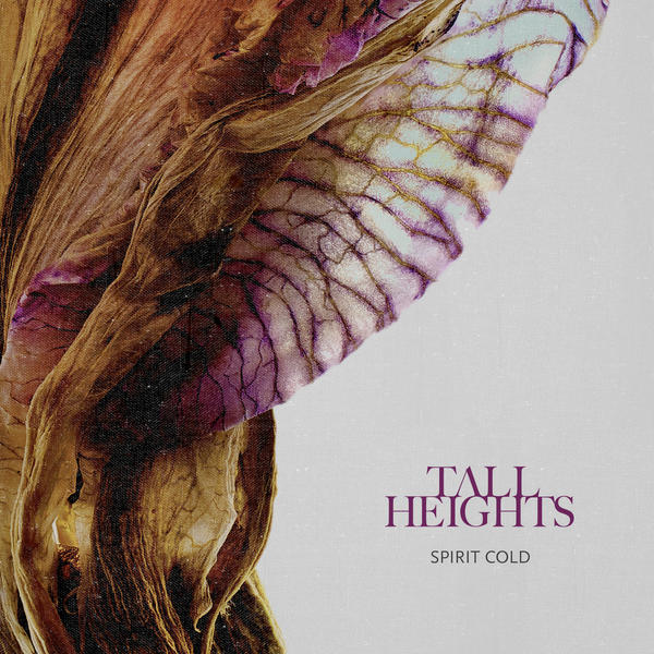 tall heights
